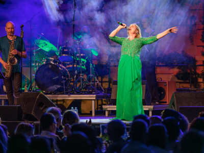 Finale Grüne Soße Festival